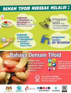 Bahaya Demam Tifoid